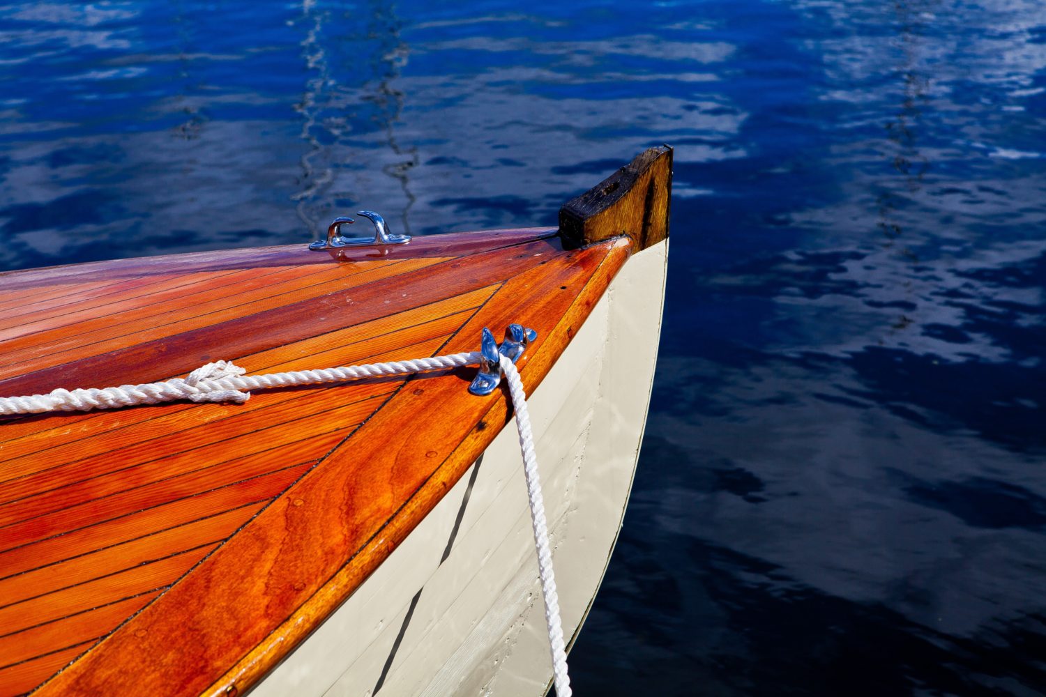 Read more about the article Tales from the Seven Seas!