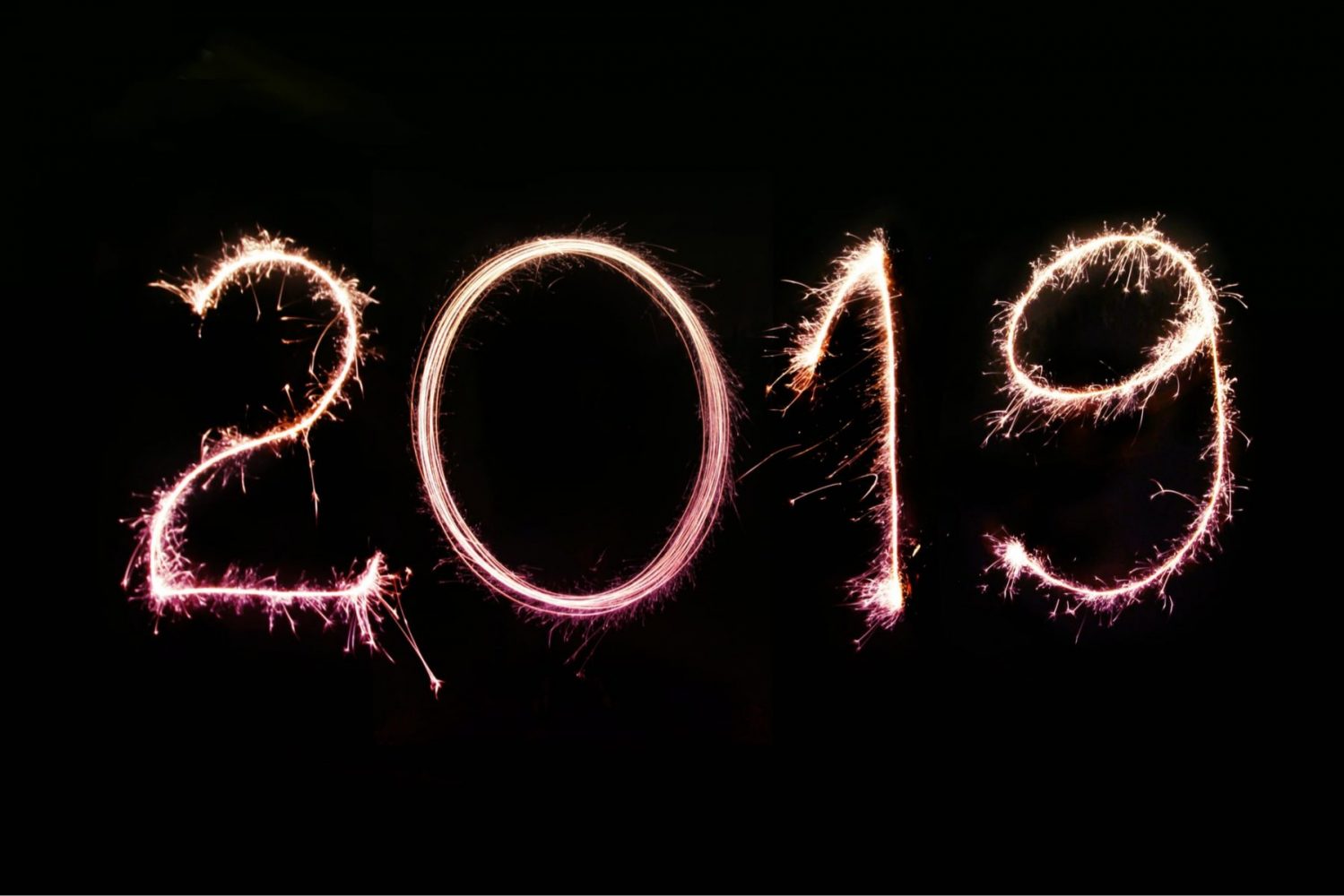 Read more about the article 2019 Begin with Wonder!