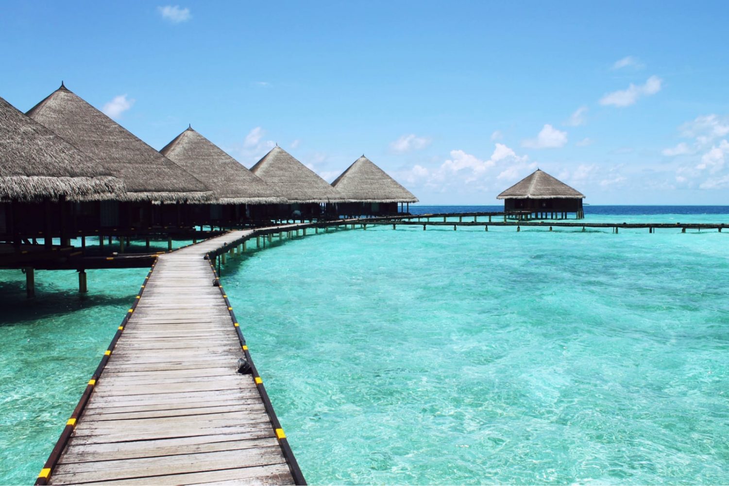 Read more about the article Tahiti, Bora Bora, and Beyond!